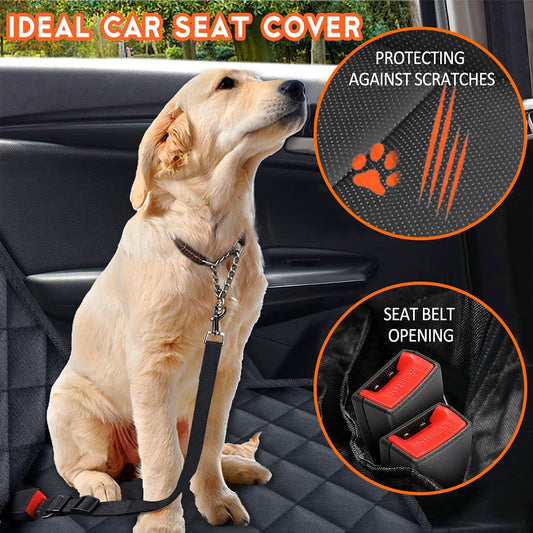 PetComfort